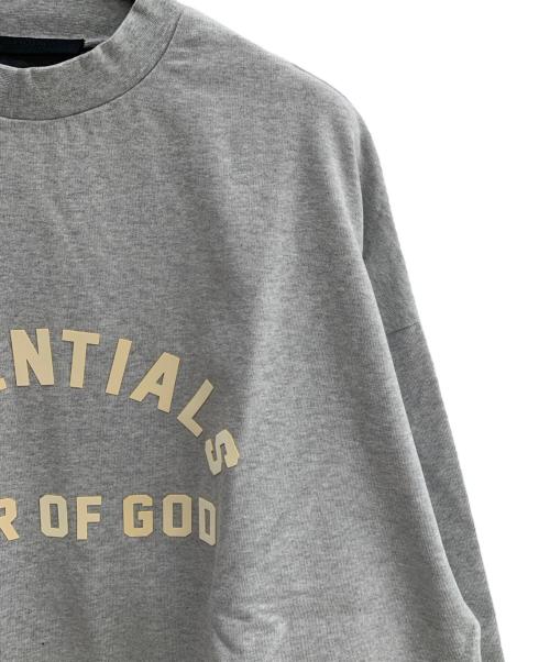 FOG ESSENTIALS（フィアオブゴッド エッセンシャル）FOG ESSENTIALS (フィアオブゴッド エッセンシャル) 長袖カットソー グレー サイズ:Ｍ 未使用品の古着・服飾アイテム