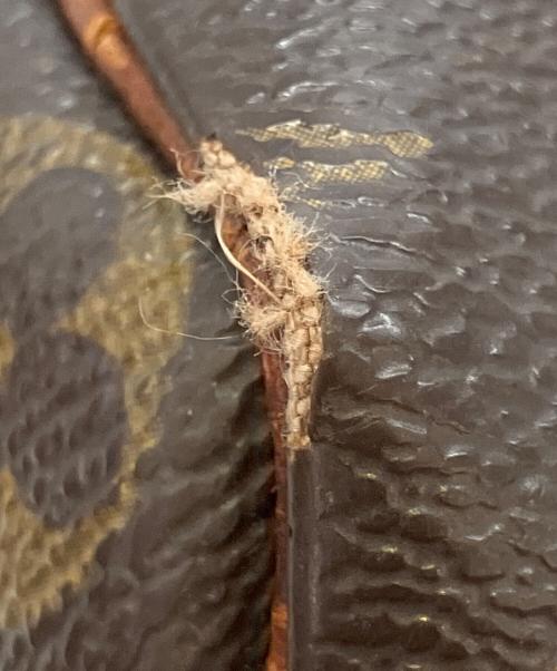 LOUIS VUITTON（ルイ ヴィトン）LOUIS VUITTON (ルイ ヴィトン) スピーディ30 ブラウンの古着・服飾アイテム