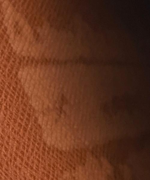 LOUIS VUITTON（ルイ ヴィトン）LOUIS VUITTON (ルイ ヴィトン) オーガナイザードゥボヤージュの古着・服飾アイテム