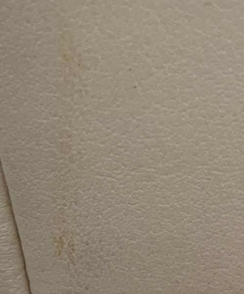 COACH（コーチ）COACH (コーチ) トートバッグ ベージュの古着・服飾アイテム
