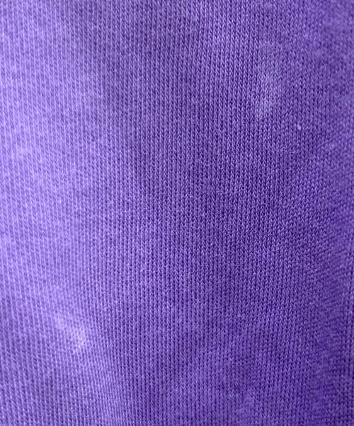 POLO RALPH LAUREN（ポロ・ラルフローレン）POLO RALPH LAUREN (ポロ・ラルフローレン) 半袖ポロシャツ パープル サイズ:Lの古着・服飾アイテム