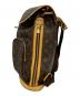 中古・古着 LOUIS VUITTON (ルイ ヴィトン) リュック ブラウン：190000円
