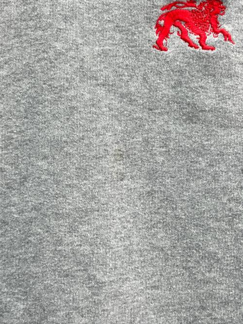 stussy（ステューシー）stussy (ステューシー) シルバータグ ラスタカラー グレー サイズ:XLの古着・服飾アイテム