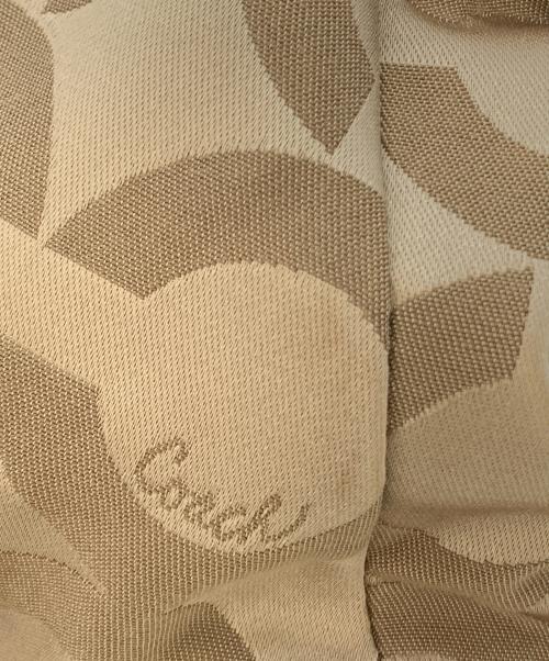 COACH（コーチ）COACH (コーチ) ハンドバッグ ブラウンの古着・服飾アイテム