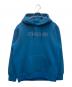 THE NORTH FACE（ザ ノース フェイス）の古着「STANDARD HOODIE」｜ブルー