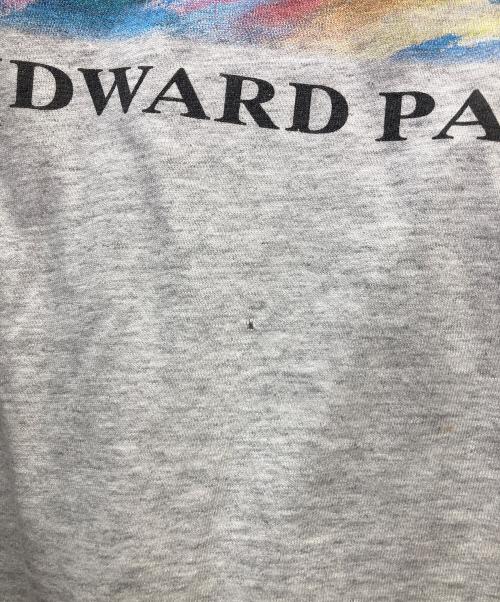 anvil（アンヴィル）anvil (アンヴィル) アートプリントTシャツ グレー サイズ:Mの古着・服飾アイテム