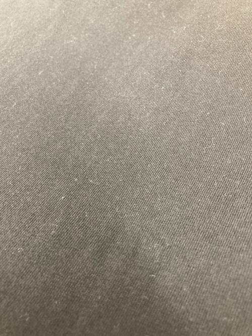 FRUIT OF THE LOOM（フルーツオブザルーム）FRUIT OF THE LOOM (フルーツオブザルーム) バンドプリントTシャツ SEX PISTOLS ブラック サイズ:XLの古着・服飾アイテム