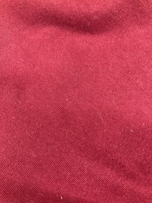 A.P.C.（アーペーセー）A.P.C. (アーペーセー) ロゴ刺繍Tシャツ レッド サイズ:Mの古着・服飾アイテム