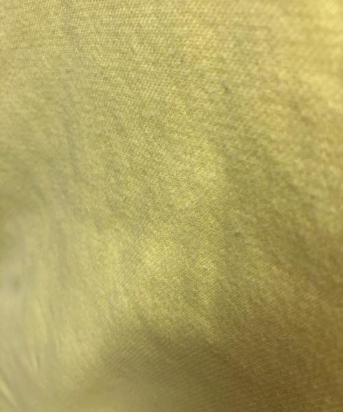 POLO RALPH LAUREN（ポロ・ラルフローレン）POLO RALPH LAUREN (ポロ・ラルフローレン) スウェット イエロー サイズ:25の古着・服飾アイテム