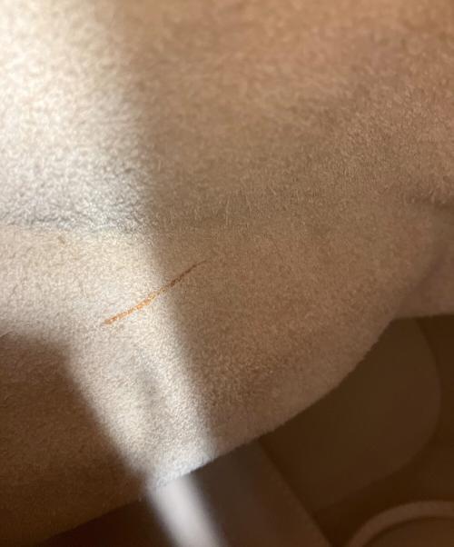 LOEWE（ロエベ）LOEWE (ロエベ) リュック ベージュの古着・服飾アイテム