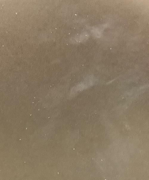 PELULU TOKYO（ペルルトウキョウ）PELULU TOKYO (ペルルトウキョウ) ハンドバッグ ブラックの古着・服飾アイテム