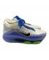 中古・古着 NIKE (ナイキ) スニーカー　G.T. HUSTLE（G.T. ハッスル） ホワイト×ブルー サイズ:SIZE 25cm：6000円