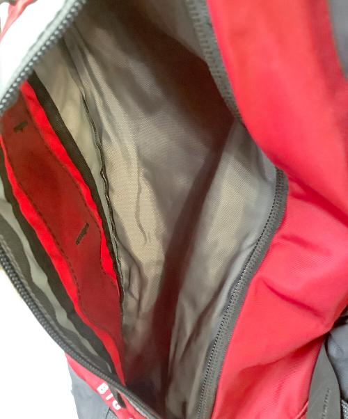 THE NORTH FACE（ザ ノース フェイス）THE NORTH FACE (ザ ノース フェイス) リュック グレー×レッドの古着・服飾アイテム