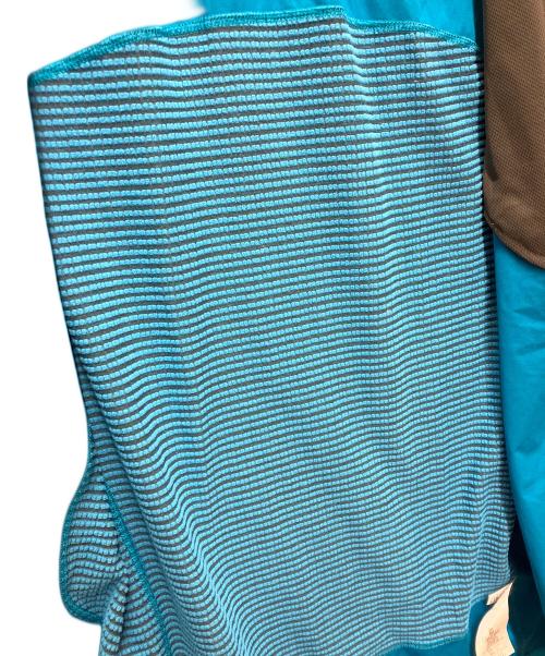 Patagonia（パタゴニア）Patagonia (パタゴニア) ベスト ブルー サイズ:Mの古着・服飾アイテム