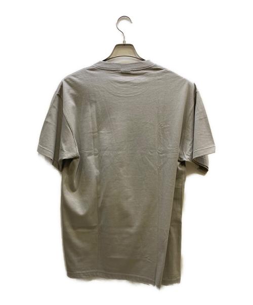 stussy（ステューシー）stussy (ステューシー) プリントTシャツ グレー サイズ:Lの古着・服飾アイテム