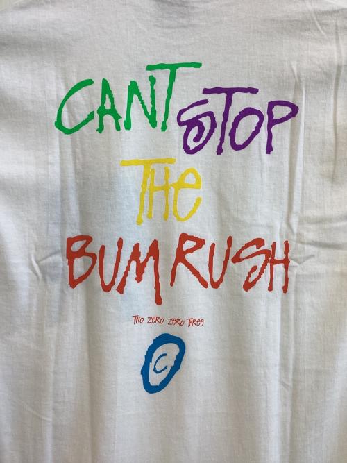 stussy（ステューシー）stussy (ステューシー) プリントTシャツ ホワイト サイズ:SIZE Mの古着・服飾アイテム