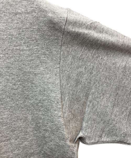 stussy（ステューシー）stussy (ステューシー) プリントTシャツ グレー サイズ:Mの古着・服飾アイテム