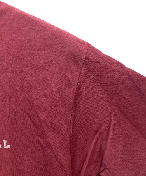 stussy（ステューシー）stussy (ステューシー) プリントTシャツ INTERNATIONAL ボルドー サイズ:Lの古着・服飾アイテム