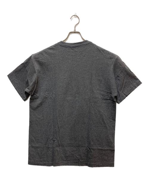 stussy（ステューシー）stussy (ステューシー) プリントTシャツ グレー サイズ:LARGEの古着・服飾アイテム