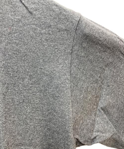 stussy（ステューシー）stussy (ステューシー) プリントTシャツ グレー サイズ:LARGEの古着・服飾アイテム