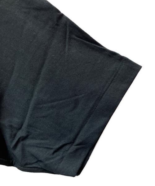 stussy（ステューシー）stussy (ステューシー) プリントTシャツ ブラック×グリーン サイズ:Mediumの古着・服飾アイテム