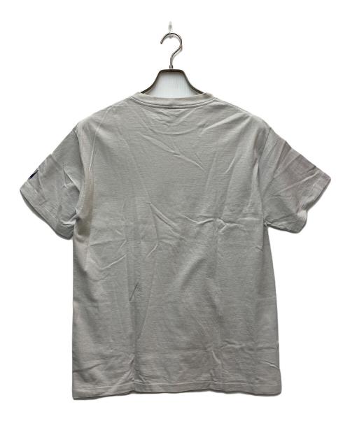stussy（ステューシー）stussy (ステューシー) プリントTシャツ グレー サイズ:Lの古着・服飾アイテム