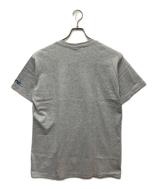 stussy（ステューシー）stussy (ステューシー) 半袖カットソー グレー サイズ:SIZE Lの古着・服飾アイテム