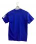 stussy (ステューシー) 半袖カットソー ブルー サイズ:SIZE L：6000円