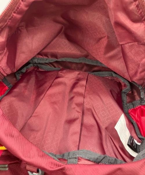 GREGORY（グレゴリー）GREGORY (グレゴリー) AMBER 34（アンバー34） レッドの古着・服飾アイテム