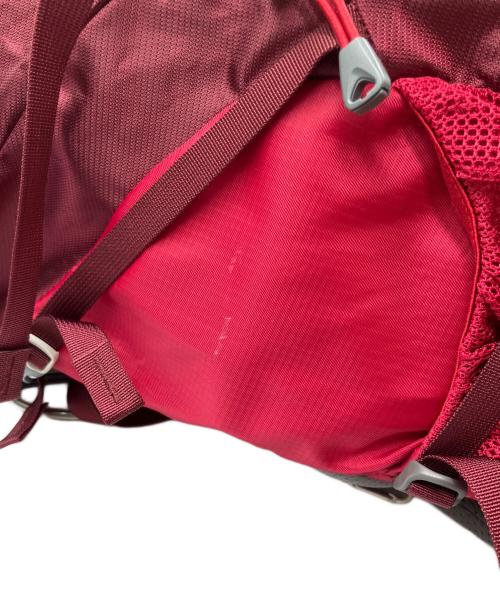 GREGORY（グレゴリー）GREGORY (グレゴリー) AMBER 34（アンバー34） レッドの古着・服飾アイテム