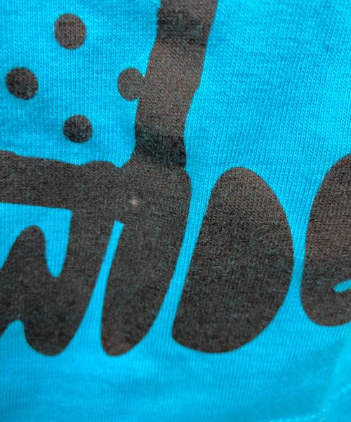 stussy（ステューシー）stussy (ステューシー) スカルプリントTシャツ スカイブルー サイズ:SIZE Mの古着・服飾アイテム