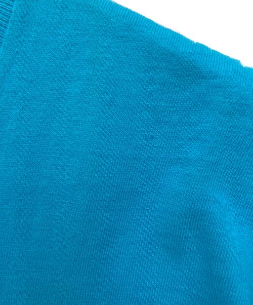 stussy（ステューシー）stussy (ステューシー) スカルプリントTシャツ スカイブルー サイズ:SIZE Mの古着・服飾アイテム