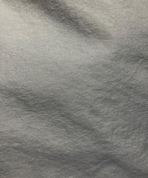 WILD THINGS（ワイルドシングス）WILD THINGS (ワイルドシングス) MONSTER PARKA グレー サイズ:Ｌの古着・服飾アイテム