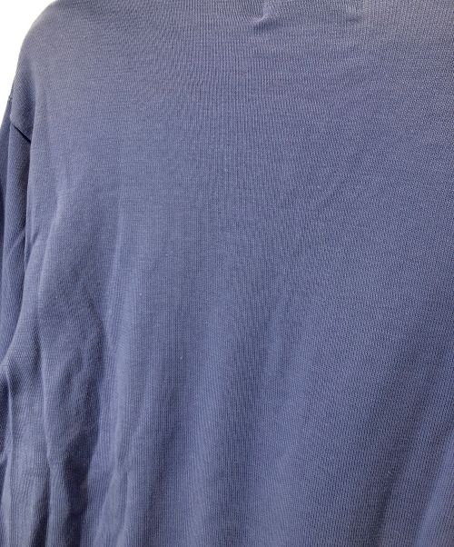 POLO GOLF（ポロ ゴルフ）POLO GOLF (ポロ ゴルフ) Vネックニット パープル サイズ:Lの古着・服飾アイテム