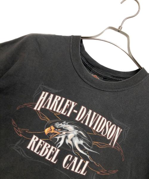 HARLEY-DAVIDSON（ハーレーダビッドソン）HARLEY-DAVIDSON (ハーレーダビッドソン) BEEFY T グレー サイズ:2XLの古着・服飾アイテム