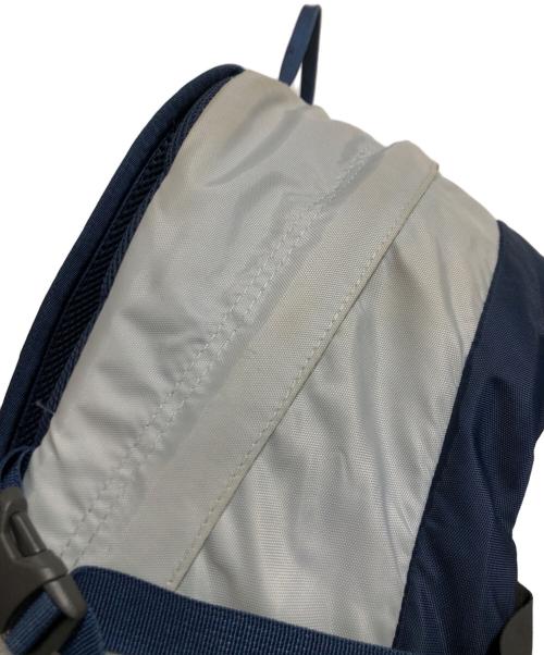 THE NORTH FACE（ザ ノース フェイス）THE NORTH FACE (ザ ノース フェイス) バックパック ブルー×ライトブルーの古着・服飾アイテム