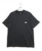 THE NORTH FACEザ ノース フェイス）の古着「ショートスリーブプロスペクターワングレインティー」｜ブラック