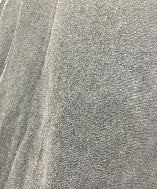 Snow peak（スノーピーク）Snow peak (スノーピーク) SPロゴTシャツ グレー サイズ:JAPAN S / USA XSの古着・服飾アイテム