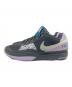 NIKE (ナイキ) JA 1 グレー×パープル サイズ:US 11：5000円