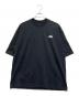 THE NORTH FACE（ザ ノース フェイス）の古着「ショートスリーブヨセミテシーナリーティー」｜ブラック