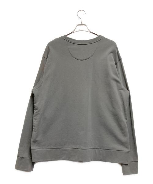 Patagonia（パタゴニア）Patagonia (パタゴニア) DAILY CREWNECK SWEATSHIRT グレー サイズ:Lの古着・服飾アイテム