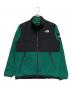 THE NORTH FACE（ザ ノース フェイス）の古着「Denali Jacket（デナリジャケット）」｜グリーン×ブラック