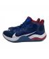 NIKE (ナイキ) ランニングシューズ ネイビー サイズ:SIZE 29cm：5000円