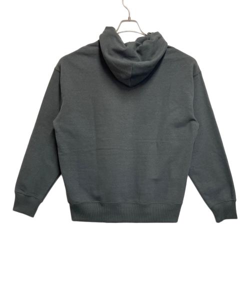 THE NORTH FACE（ザ ノース フェイス）THE NORTH FACE (ザ ノース フェイス) ZOO PICKER HOODIE ダークグレー サイズ:SIZE M 未使用品の古着・服飾アイテム