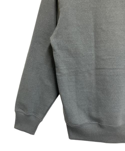 THE NORTH FACE（ザ ノース フェイス）THE NORTH FACE (ザ ノース フェイス) ZOO PICKER HOODIE ダークグレー サイズ:SIZE M 未使用品の古着・服飾アイテム
