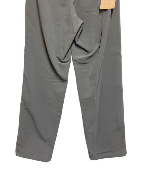 THE NORTH FACE（ザ ノース フェイス）THE NORTH FACE (ザ ノース フェイス) バーブパンツ グレー サイズ:SIZE M 未使用品の古着・服飾アイテム
