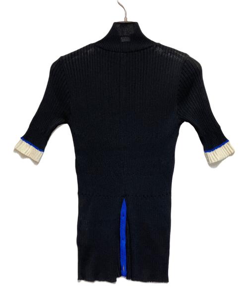UNITED TOKYO（ユナイテッドトーキョー）UNITED TOKYO (ユナイテッドトーキョー) シアーカラーラインリブニット ブラック×ブルー サイズ:SIZE  Freeの古着・服飾アイテム