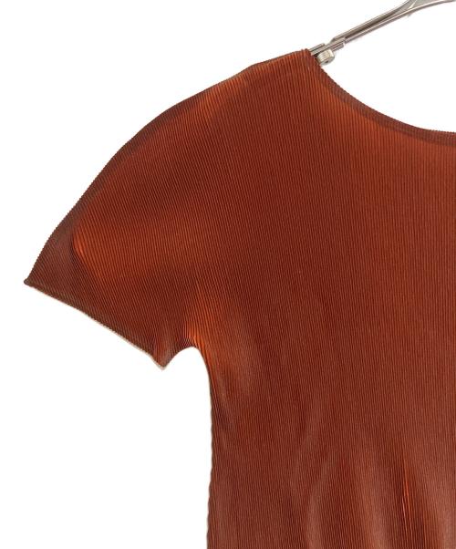 PLIATS PLIASI（プリーツ プリーズ）PLIATS PLIASI (プリーツ プリーズ) 半袖カットソー ブラウン サイズ:SIZE 3の古着・服飾アイテム