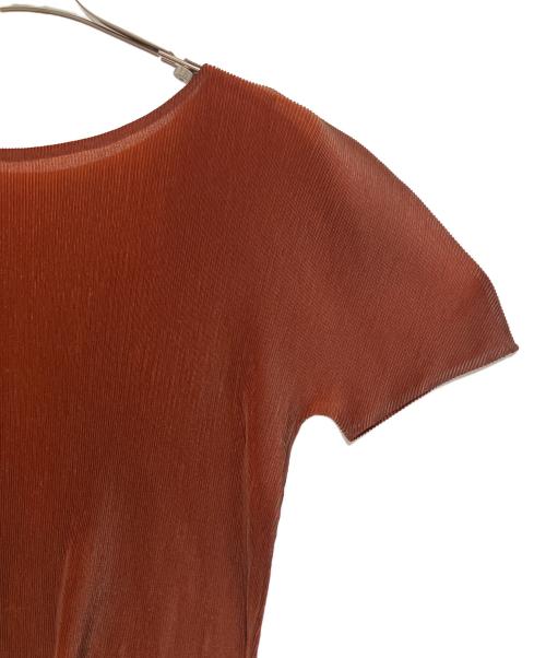 PLIATS PLIASI（プリーツ プリーズ）PLIATS PLIASI (プリーツ プリーズ) 半袖カットソー ブラウン サイズ:SIZE 3の古着・服飾アイテム