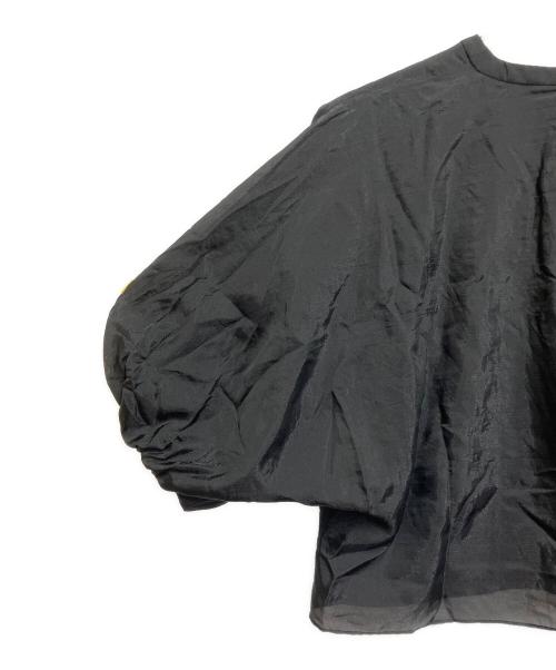 ADORE（アドーア）ADORE (アドーア) 長袖ブラウス ブラック サイズ:SIZE 38の古着・服飾アイテム